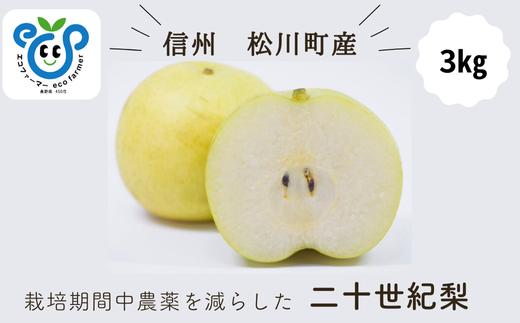 HF32-25A 【信州松川町産】 二十世紀梨 約3kg ／9月後半発送開始予定 // 長野県 南信州  減農薬栽培 和梨 なし ナシ 20世紀 ２０世紀 エコファーマー認証 農家支援