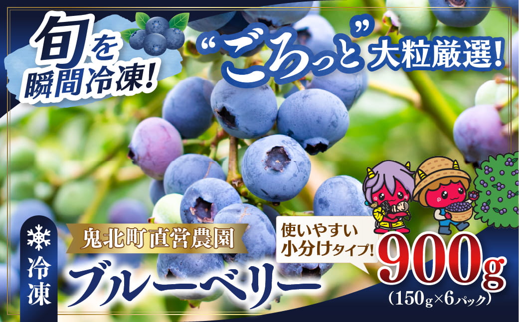 【先行予約】【選別済み大粒】冷凍ブルーベリー900g（150g×6P） | 選別済み 大粒 国産 個包装 小分け 冷凍 鬼北町直営農園 果実 フルーツ 果物 くだもの 朝食 ヨーグルト　鬼北町役場 日吉支所 愛媛県 ※2026年8月～発送