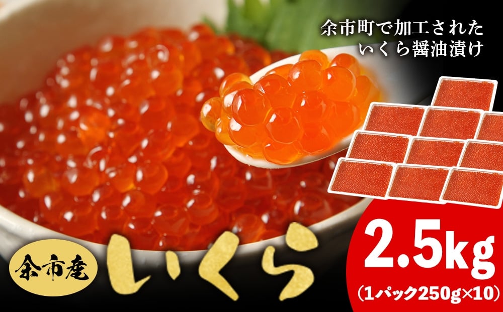
            余市産 いくら 500g×5箱 2.5kg（250g×10PC）  北海道産 冷凍 鮭いくら 冷凍いくら いくら醤油漬け 化粧箱 贈り物 ギフト 秋鮭 秋鮭の卵 とろける食感 はじける食感 北海道 余市町 
          