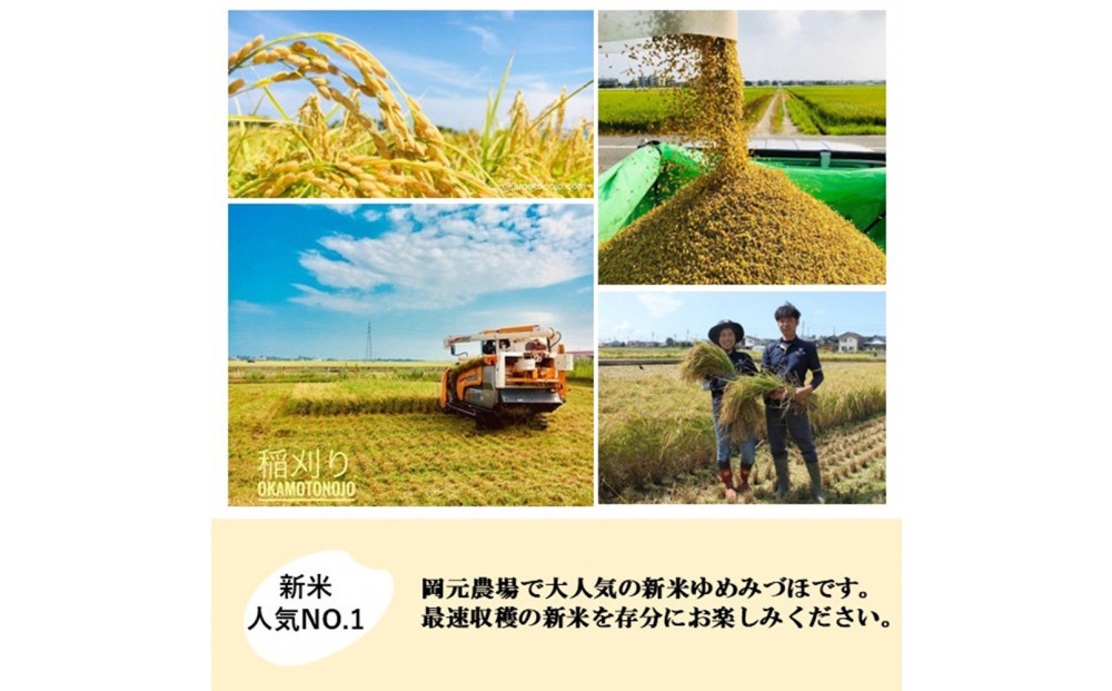 【令和8年産】【日本農業賞大賞】ゆめみづほ9kg（4.5kg×2）精白米 能美市 お米 精米銘柄米 ご飯 おにぎり お弁当 和食 粘りが少ない 精米したて 一等米