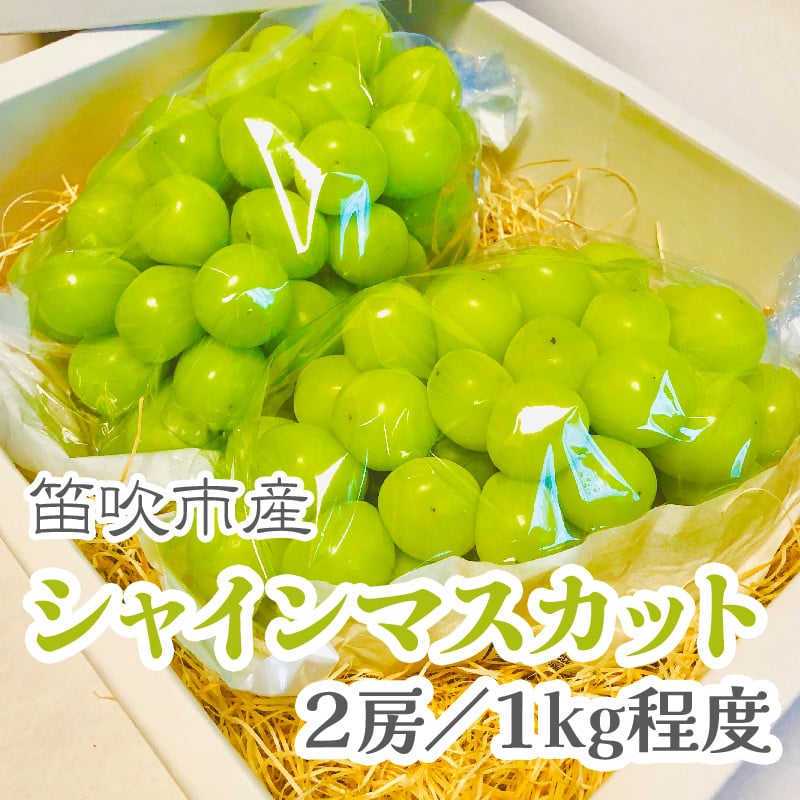 
            ＜25年発送＞【2026年発送★先行予約】こだわりの逸品!　甘さと香り際立つ山梨県産シャインマスカット2房(合計1kg程度) 229-001-oya
          