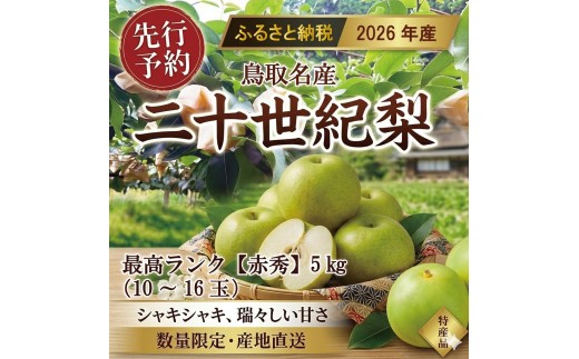 東商果樹園 二十世紀梨(赤秀)5kg 【鳥取県 境港市】