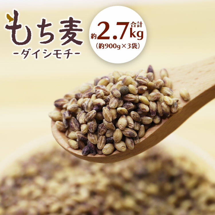 【ふるさと納税】もち麦（ダイシモチ） 合計2.7kg - 食物繊維 ミネラル 豊富 熨斗 のし対応 もちむぎ 国産 穀物 雑穀 大麦 ヘルシー 混ぜる まぜるだけ 炊く もちもち モチモチ 米 ごはん ご飯 特産品 高知県 香南市【常温】