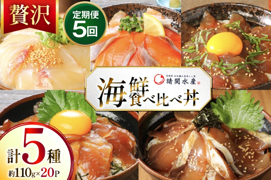 海鮮丼 海鮮漬け丼 5か月 定期便 [請関水産 宮崎県 日向市 452061452] 海鮮丼の具 海鮮 海鮮丼セット 食べ比べ 丼 冷凍 ギフト 漬け丼 ブリ 真鯛 マダイ カンパチ かんぱち まぐろ マグロ サーモン