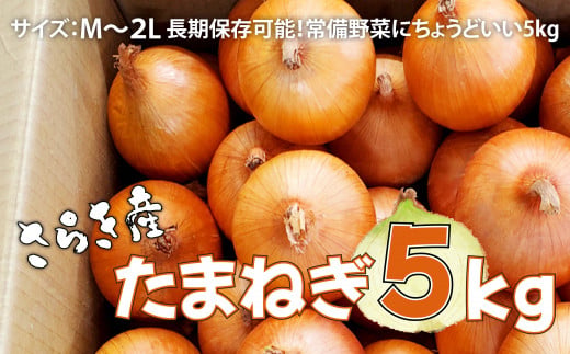予約受付 たまねぎ 5kg さらき産【2026年7月発送開始】 令和8年産 国産 玉ねぎ 玉葱 カレー シチュー  新鮮 フレッシュ オニオン サラダ BBQ 焼肉 野菜 Mサイズ ～ 2Lサイズ 岩手県 北上市 B0363 株式会社さらき