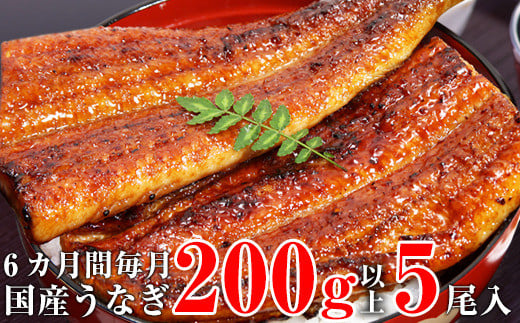 
【定期便】国産うなぎ蒲焼き超特大サイズ５本セット（６ヶ月お届け）(A592-1)
