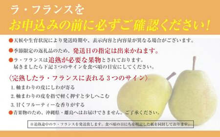 【2026年発送分】【やまなしフルーツ定期便（２回）】 シャインマスカット ～ 1kg以上（2-3房）＆ラ・フランス（1.5kg以上・３-５玉）　定期便　果物 フルーツ くだもの シャイン 洋ナシ 洋