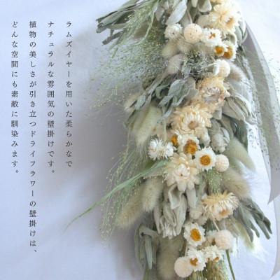 ふるさと納税 茅野市 信州八ヶ岳の麓から贈るドライフラワーウォールハンギング(ラムズイヤーホワイト) |  | 01