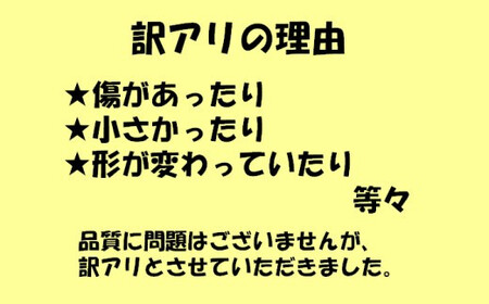 【訳アリ】【朝どれ】アグリ福ちゃん 夏野菜セット（５種類） ZS-6129