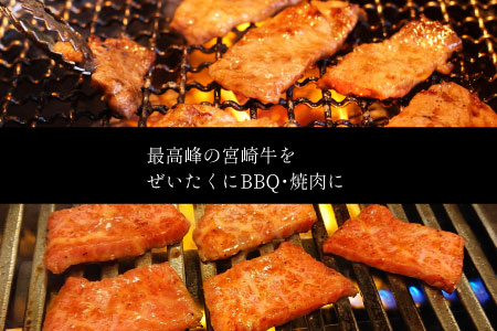 ＜焼肉用＞宮崎牛切り落とし1kg ※90日以内に発送【C269-24】