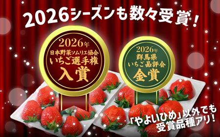【2026年 先行予約】いちご やよいひめ 400g×10パック 計4kg