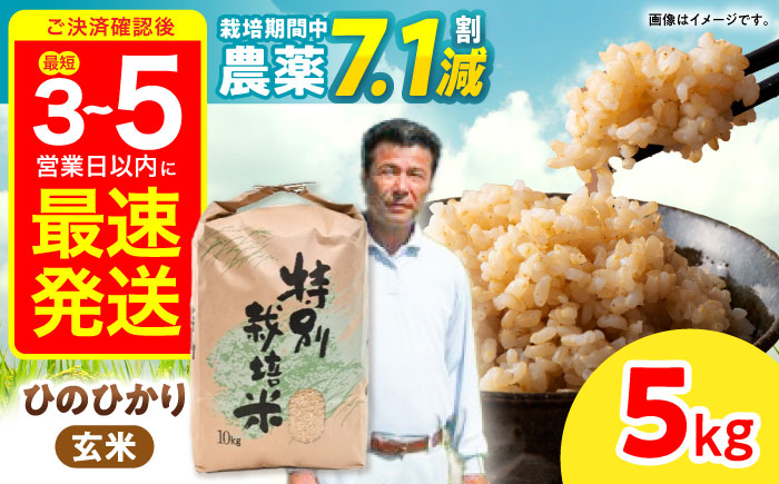 【R7年産】九州のこだわり「ひのひかり」玄米 5kg / 米 こめ お米 おこめ 玄米 げんまい ひのひかり ヒノヒカリ 長崎県産 / 諫早市 / 上島農産 [AHAS015]