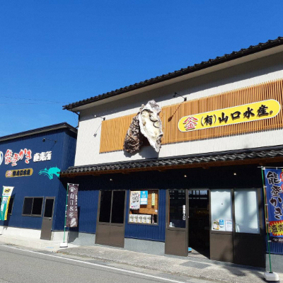 【発送時期が選べる】山口水産の能登かき / 半缶(約35～40個入り)×2◇ ｜ 石川県 七尾市 能登 ※2025年1月中旬頃～4月下旬頃に順次発送予定 ※離島への配送不可