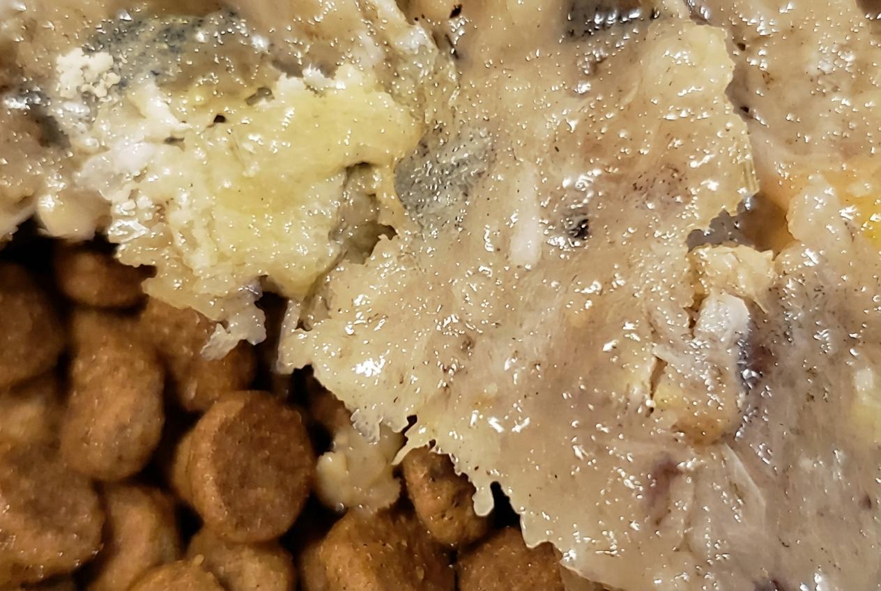 鮎フレーク　40g入り