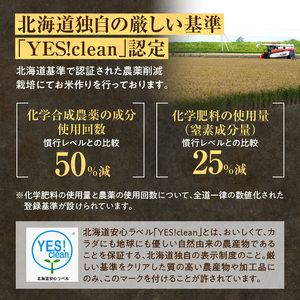 定期便 北海道産 ななつぼし 精米 定期便 10kg 2回 特A 雨竜町 お米 米 厳選 人気
