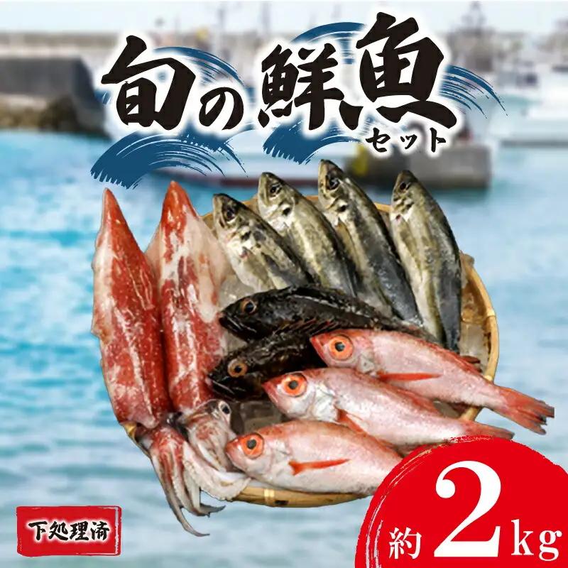 旬の 鮮魚 約 2kg 下処理済 (鮮魚鮮魚鮮魚鮮魚鮮魚鮮魚鮮魚鮮魚鮮魚鮮魚鮮魚鮮魚鮮魚鮮魚鮮魚鮮魚鮮魚鮮魚鮮魚鮮魚鮮魚鮮魚鮮魚鮮魚鮮魚鮮魚鮮魚鮮魚鮮魚鮮魚鮮魚鮮魚鮮魚鮮魚鮮魚鮮魚鮮魚鮮魚鮮魚鮮魚鮮魚鮮魚鮮魚鮮魚鮮魚鮮魚鮮魚鮮魚鮮魚鮮魚鮮魚鮮魚鮮魚鮮魚鮮魚鮮魚鮮魚鮮魚鮮魚鮮魚鮮魚鮮魚鮮魚鮮魚鮮魚鮮魚鮮魚鮮魚鮮魚鮮魚鮮魚鮮魚鮮魚鮮魚鮮魚鮮魚鮮魚鮮魚鮮魚鮮魚鮮魚鮮魚鮮魚鮮魚鮮魚鮮魚鮮魚鮮魚鮮魚鮮魚鮮魚鮮魚鮮魚鮮魚鮮魚鮮魚鮮魚鮮魚鮮魚鮮魚鮮魚鮮魚鮮魚鮮魚鮮魚鮮魚鮮魚鮮魚鮮魚鮮魚鮮魚鮮魚鮮魚鮮魚鮮魚鮮魚鮮魚鮮魚鮮魚