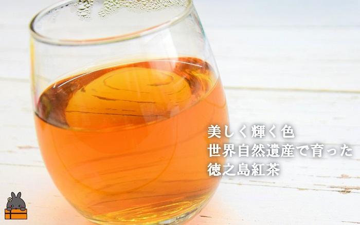 国産べにふうきの豊かな味わい。徳之島紅茶40g（ティーパック15g×16P） ( 国産 紅茶 ティー Tea 茶葉 ティーパック ミルクティー べにふうき お菓子 スイーツ 徳之島 奄美 鹿児島 美味