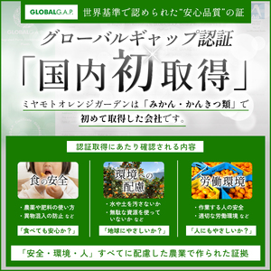 愛媛みかん 7kg 西宇和地区八幡浜市産【E25-123】【1166253】 YWTAP066