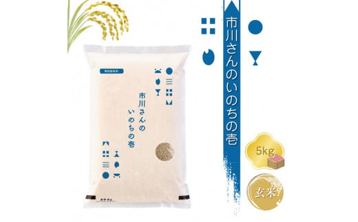【令和7年産・玄米5kg】特別栽培米 市川さんのいのちの壱（2025年11月出荷開始予定）先行予約 新米 信州【 米 コメ 備蓄品 仕送り おすそ分け 備蓄米 長野県 佐久市 】