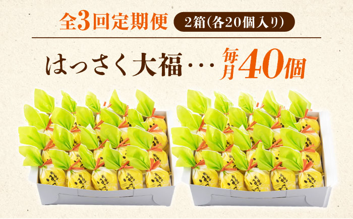 【全3回定期便】お菓子 はっさく大福20個入×2　 お菓子 大福 八朔 柑橘 みかん オレンジ 餅 ギフト お取り寄せ スイーツ フルーツ大福 ご当地 菓子 おかし デザート 食品 人気 おすすめ 広