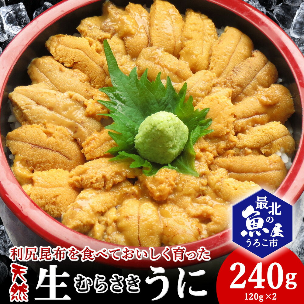 【ふるさと納税】利尻昆布を食べておいしく育った「生むらさきうに」240gムラサキウニ 天然 うに むらさきうに 海鮮 海産物 北海道ふるさと納税 稚内 ふるさと納税 北海道 【配送不可地域：離島・沖縄県】