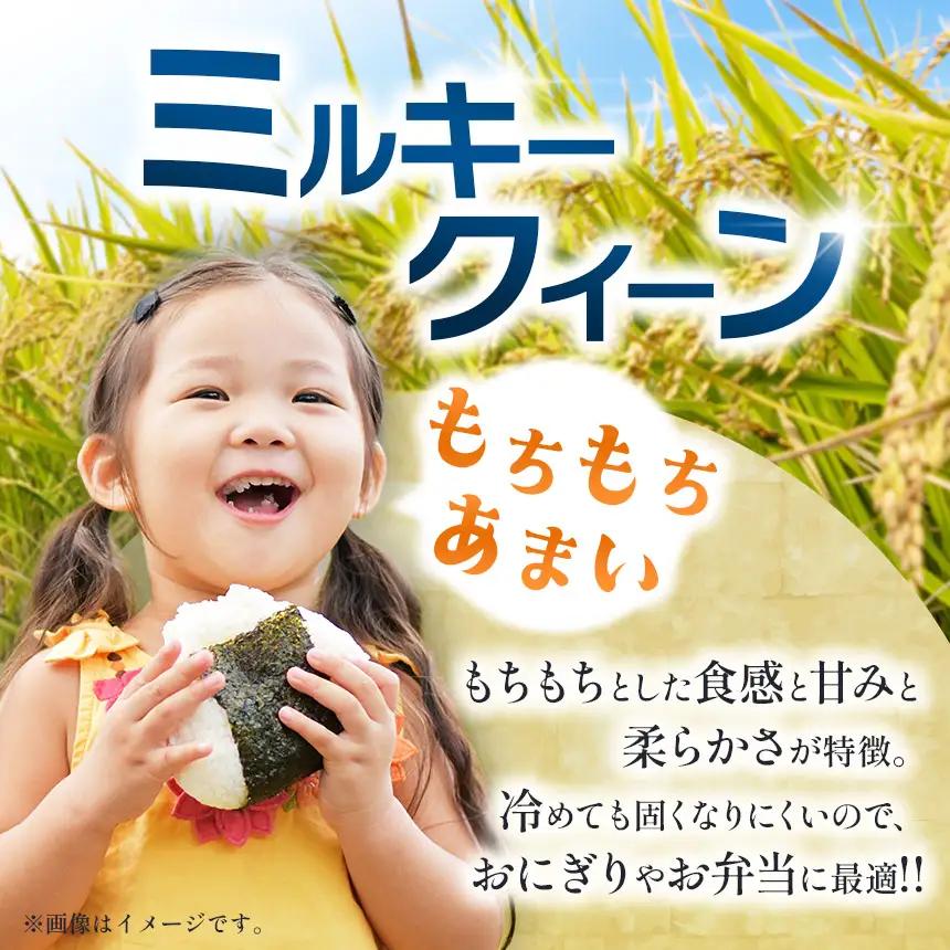 先行予約 令和8年度産 栃木県産 ミルキークイーン 5kg |【栃木県共通返礼品】