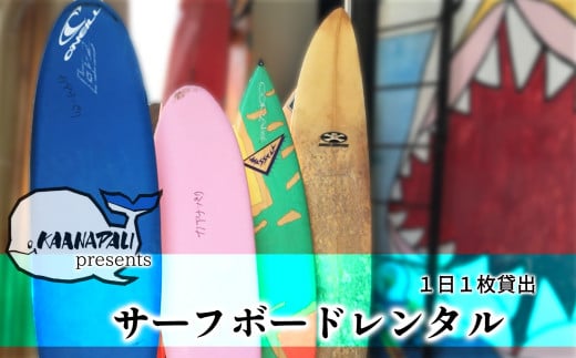 サーフボードレンタル（１枚１日貸出）  サーフボード レンタル (1枚1日貸出) カアナパリ サーフィン 体験 アクティビティ マリンアクティビティ 四国 徳島 徳島県 海陽 海陽町