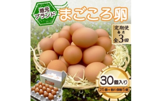 ＜毎月定期便＞「地元ブランド」まごころ卵30個入り(卵25個と割れ保障5個)　鶏卵(生食用)全3回【4070038】