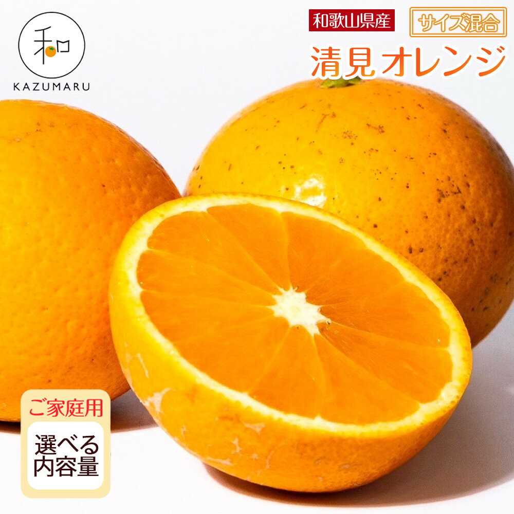 【ふるさと納税】［先行予約］家庭用 森本農園の手選別 清見オレンジ 1.5kg～10kg 和歌山県産 サイズ混合 ［北海道・沖縄・離島配送不可］ | みかん 蜜柑 フルーツ 果物 くだもの 食品 人気 おすすめ 送料無料