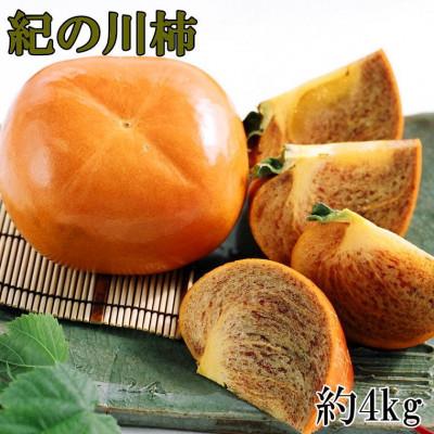 ふるさと納税 新宮市 【希少】紀の川柿(たねなし)約3.5〜4kg・秀品【新宮市】2026年度発送
