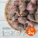 【ふるさと納税】生紅菊芋 約2kg フランス種 土つき 11月上旬～2月下旬頃お届け ※着日指定不可 東北 山形県 遊佐町 庄内地方 秋 冬 まえむき。