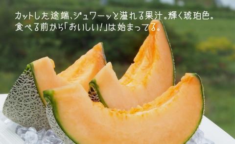【先行予約】甘～い贅沢 「特選甘熟レッドメロン」北海道産どっさり8.5kg!!