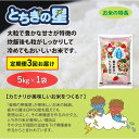 【ふるさと納税】【定期便 3ヶ月】栃木県鹿沼市産 とちぎの星 無洗米 5kg 3回お届け 令和5年産 水稲うるち精米 単一原料米 お米 特A 大粒　定期便・ 米 お米 大粒 甘さ 　お届け：2024年10月上旬～2024年7月下旬