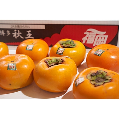 
                  秋王(あきおう)1.5kg箱(4-6玉)(大野城市)_ 柿 かき カキ 果物 フルーツ ふるーつ くだもの 青果 あきおう 秋王 国産 新品種 産地直送 ブランド オリジナル 冷蔵 限定 高糖度 甘い 希少 送料無料 【1092788】
                