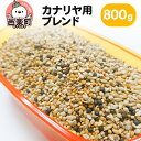 【ふるさと納税】カナリヤ用ブレンド 800g×1袋 サイトウ・コーポレーション 飼料