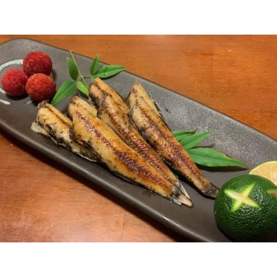 ふるさと納税 高知市 ハダカイワシ干物約200g×3P【CM004】