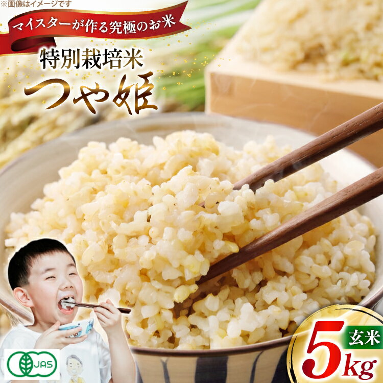 【ふるさと納税】 玄米 令和7年 つや姫マイスターが作る 特別栽培米 つや姫 5kg [遠藤農園 山形県 高畠町 tk06ayt120013] 5キロ お米 ブランド米 ごはん ご飯 こめ