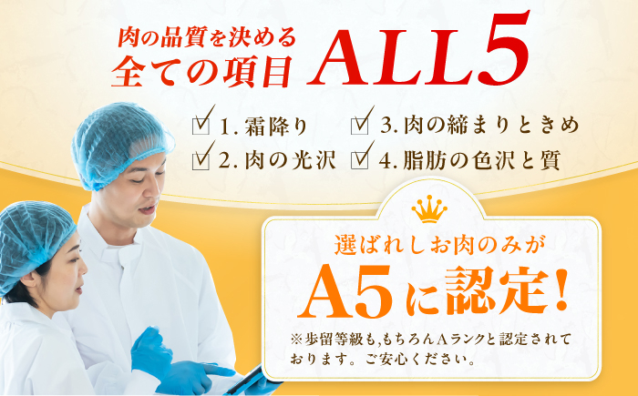 肉 和牛 ヒレ フィレ ヘレ ステーキ