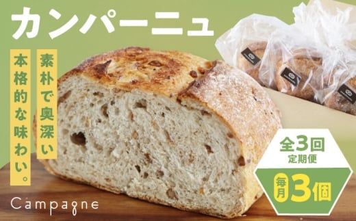 パン【全3回定期便】【冷凍】　カンパーニュ3種セット (プレーン・いちじく・五穀)  冷凍パン 定期便 冷凍 ハードパン 食事パン 朝食 ベーカリー 食べ比べ フルーツ 果物 ドライいちじく 五穀 プ