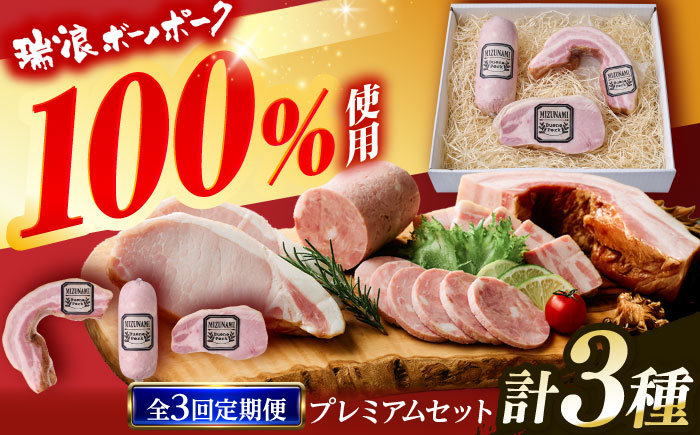 【3回定期便】 ハム・ベーコン ブロック 瑞浪ボーノポーク 工房長厳選！プレミアムセット 900g (冷凍) 瑞浪市 / きなぁた瑞浪 詰め合わせ ギフト [AZCI107]