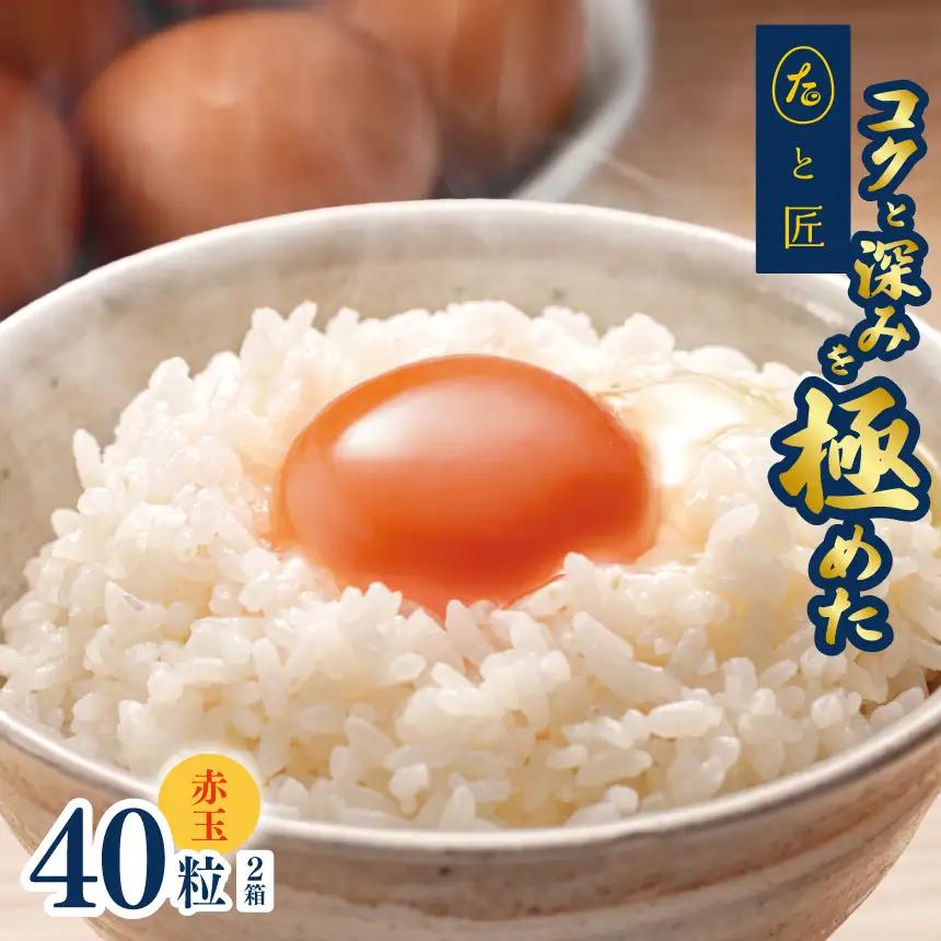 たまご 【たまごと匠】 赤玉40粒（2箱） | 熊本県 熊本 くまもと 和水町 なごみ 卵 タマゴ 赤玉 20粒 2箱 40粒 TKG
