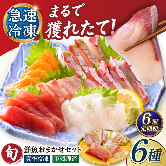 【ふるさと納税】【6回定期便】【下処理済】超速冷凍鮮魚6種（5種+焼物用1種） 五島市/金沢鮮魚[PEP066] 魚 食べ比べ 刺身 さしみ 刺し身 刺身セット 焼魚 急速冷凍 小分け 真空パック 長崎県 定期便