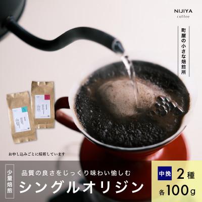 ふるさと納税 村上市 高品質シングルオリジンコーヒー飲み比べ2種(各100g) 【 中挽き 】厳選スペシャルティコーヒー
