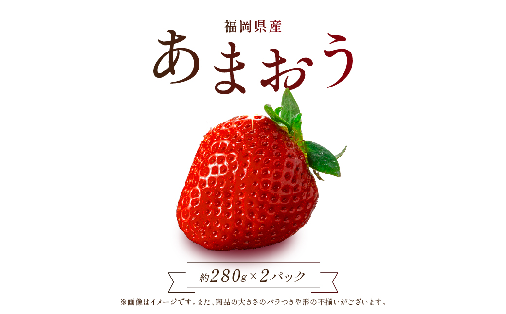 【先行予約／2027年出荷】福岡県産あまおう【280g×2パック】 2Z5-S
