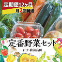 【ふるさと納税】12ヶ月定期便 ( 月2回発送 ) 定番 野菜セット 計24回お届け [ 産地直送 野菜 やさい ベジタブル 詰め合わせ 季節 旬 お試し 冷蔵 こだわり 農家 地産 農業 料理 定期便 岩手 陸前高田 ひころいちファーム ] 大根 白菜 にんじん じゃがいも きゅうり など