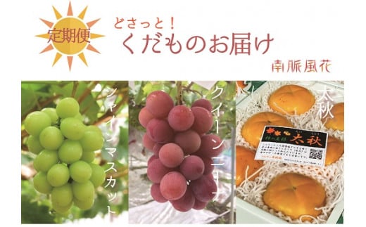 【通年受付】年３回フレッシュフルーツ定期便（クイーンニーナ、シャインマスカット、柿）　ALPAJ015