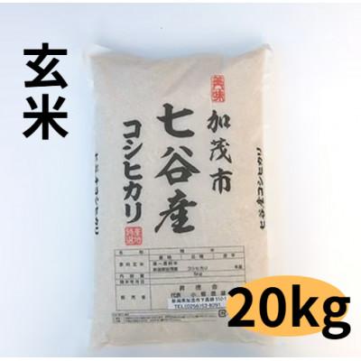 ふるさと納税 加茂市 【新潟県加茂市七谷産】コシヒカリ玄米5kg×4袋(高柳産・生産者指定)