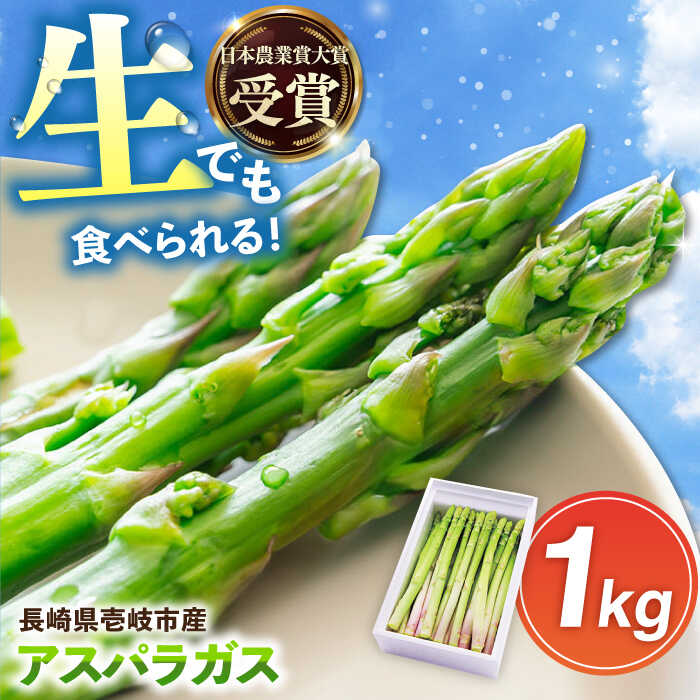 【ふるさと納税】壱岐産 アスパラガス 1kg（L~2Lサイズ）《壱岐市》【壱岐市農業協同組合】[JBO004] 野菜 旬 春野菜 夏野菜 新鮮 産地直送 アスパラ 冷蔵配送 先行予約 夏野菜 春野菜 季節の野菜 グリーンアスパラガス 13000 13000円
