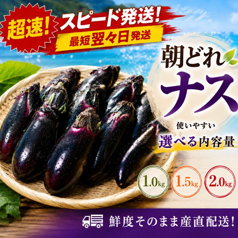 【ふるさと納税】スピード発送　今が旬!！新鮮朝どれナス　選べる容量 1キロ～2キロ ナス なす 茄子 夏野菜 秋野菜 朝採れ 新鮮 産地直送 詰め合わせ 箱買い 漬物 味噌汁 麻婆茄子 麻婆 中華 炒め物 高知産 室戸産 おひさま農園 高知県 室戸市