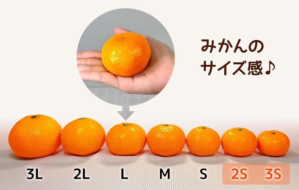 みかん とにかく小玉 箱込 10kg ( 内容量約 9.2kg ) 2Sサイズ以下 秀品 優品 混合 有田みかん 家庭用 ［2026年11月中旬頃より順次出荷予定］［みかんの会］　AX375_イメージ